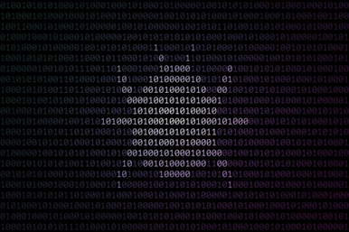 An image of a grid of ones and zeros. Highlighted in the center of the grid is a bug's silhouette.